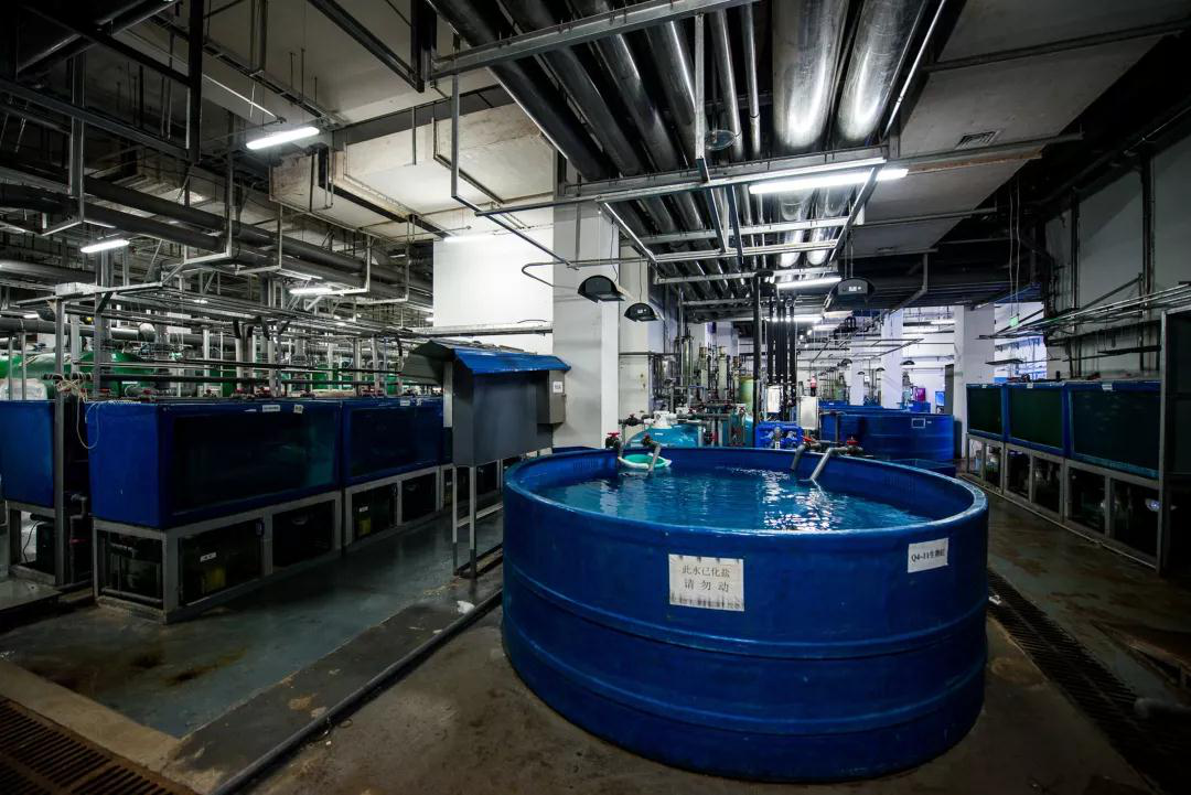 蠕動泵用于(yú)克服三種廢(fei)水問題